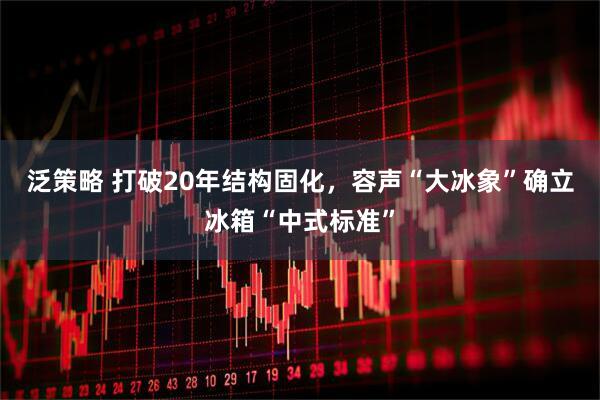 泛策略 打破20年结构固化，容声“大冰象”确立冰箱“中式标准”