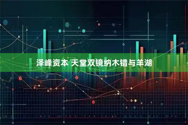 泽峰资本 天堂双镜纳木错与羊湖