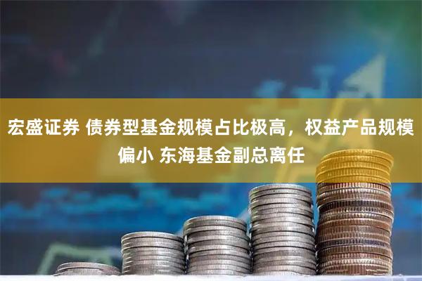 宏盛证券 债券型基金规模占比极高，权益产品规模偏小 东海基金副总离任