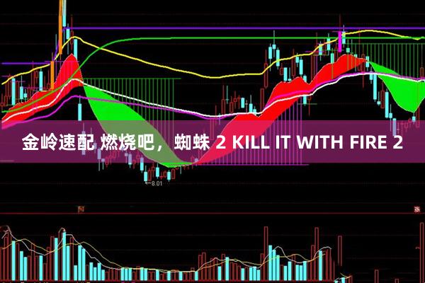 金岭速配 燃烧吧，蜘蛛 2 KILL IT WITH FIRE 2