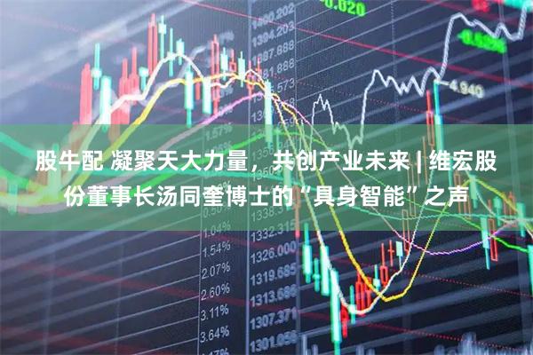 股牛配 凝聚天大力量，共创产业未来 | 维宏股份董事长汤同奎博士的“具身智能”之声