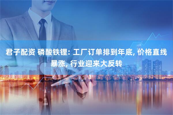君子配资 磷酸铁锂: 工厂订单排到年底, 价格直线暴涨, 行业迎来大反转