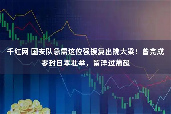千红网 国安队急需这位强援复出挑大梁！曾完成零封日本壮举，留洋过葡超
