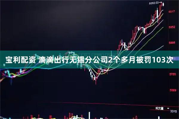 宝利配资 滴滴出行无锡分公司2个多月被罚103次