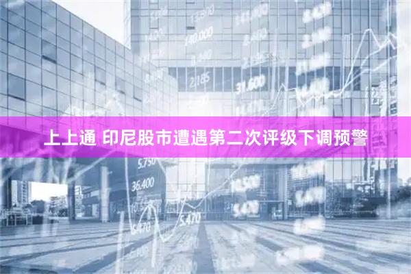 上上通 印尼股市遭遇第二次评级下调预警