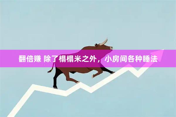 翻倍赚 除了榻榻米之外，小房间各种睡法