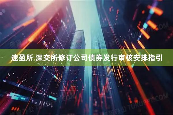 速盈所 深交所修订公司债券发行审核安排指引